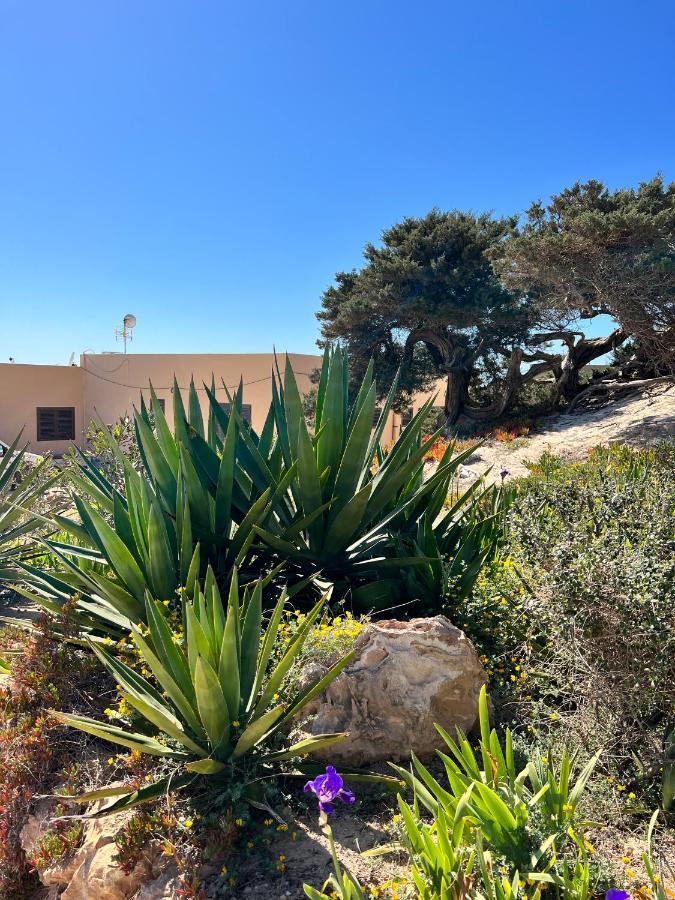 Es Arenals Arenas Del Mar Formenteraヴィラ エクステリア 写真