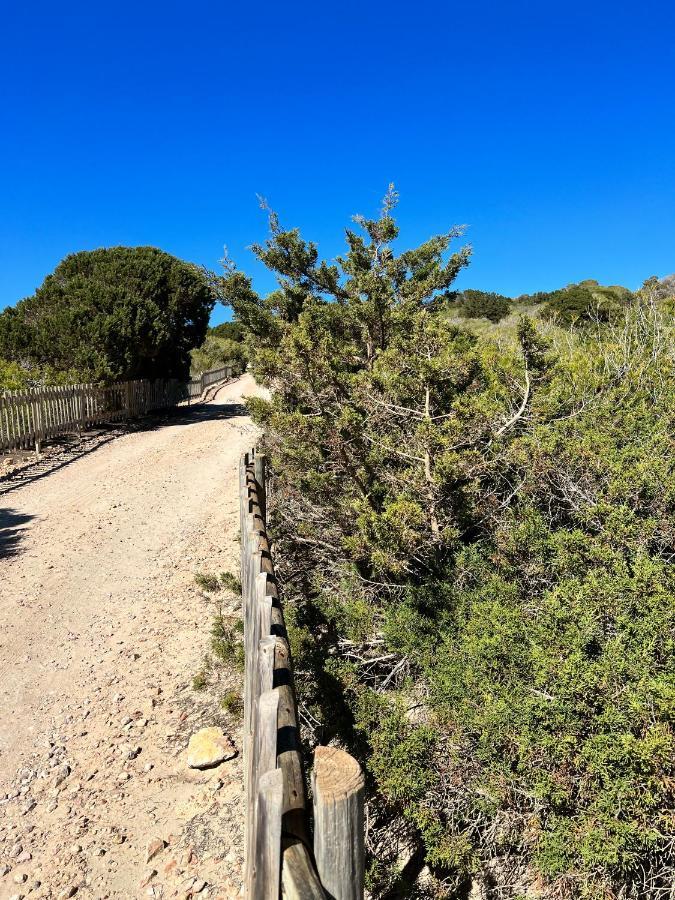 Es Arenals Arenas Del Mar Formenteraヴィラ エクステリア 写真